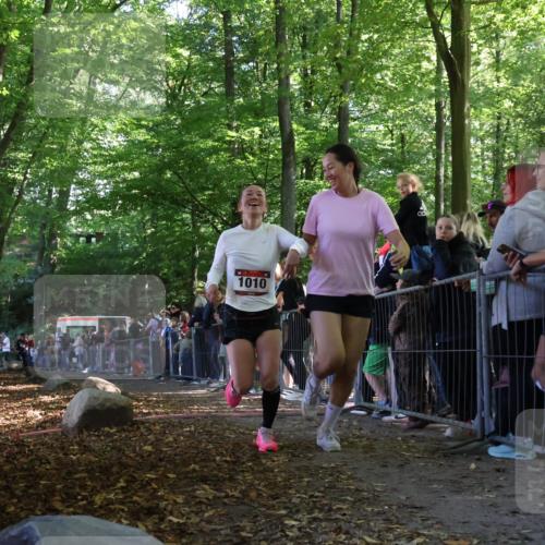 28.09.2025 - 33. Volkslauf durch das schöne Alstertal Strokosch-Dieckow http://msf.ph/oto/8970144 28.09.2025 11:51:10 Ziel 1010 meine-sportfotos.de