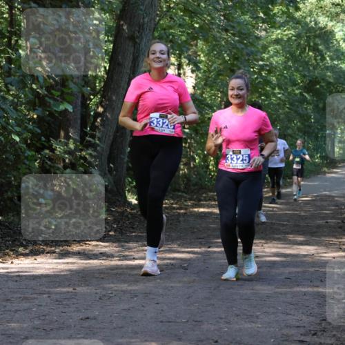 28.09.2025 - 33. Volkslauf durch das schöne Alstertal Strokosch-Dieckow http://msf.ph/oto/8970145 28.09.2025 11:44:01 Laufen 332, 3325 meine-sportfotos.de