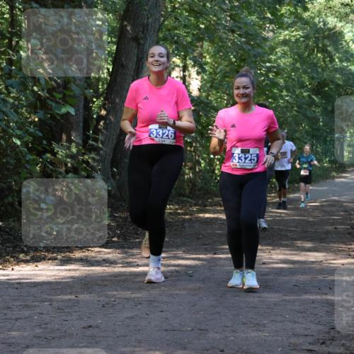 28.09.2025 - 33. Volkslauf durch das schöne Alstertal Strokosch-Dieckow http://msf.ph/oto/8970146 28.09.2025 11:44:01 Laufen 3326, 3325 meine-sportfotos.de