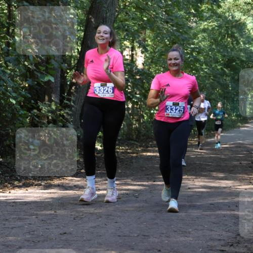 28.09.2025 - 33. Volkslauf durch das schöne Alstertal Strokosch-Dieckow http://msf.ph/oto/8970148 28.09.2025 11:44:01 Laufen 3326, 3325 meine-sportfotos.de