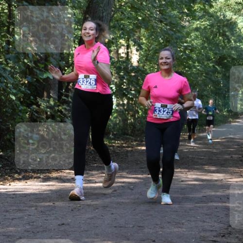 28.09.2025 - 33. Volkslauf durch das schöne Alstertal Strokosch-Dieckow http://msf.ph/oto/8970150 28.09.2025 11:44:01 Laufen 3326, 3325, 4589 meine-sportfotos.de
