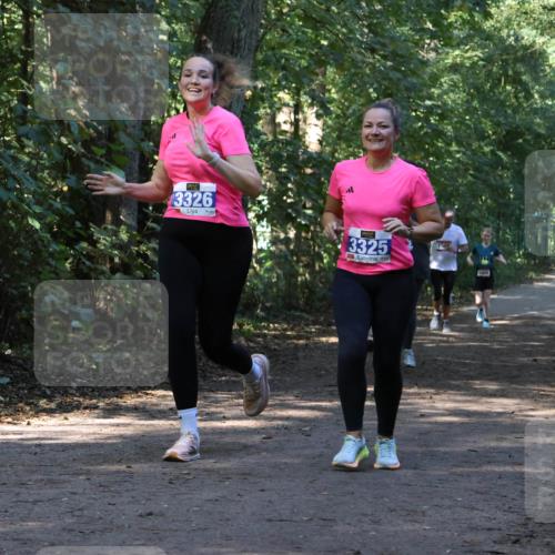 28.09.2025 - 33. Volkslauf durch das schöne Alstertal Strokosch-Dieckow http://msf.ph/oto/8970151 28.09.2025 11:44:01 Laufen 3326, 3325, 1000 meine-sportfotos.de