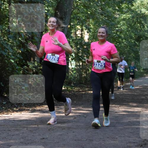 28.09.2025 - 33. Volkslauf durch das schöne Alstertal Strokosch-Dieckow http://msf.ph/oto/8970152 28.09.2025 11:44:01 Laufen 3326, 3325, 1580 meine-sportfotos.de