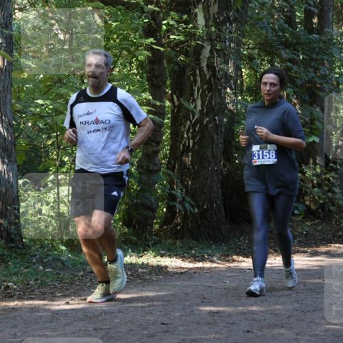 28.09.2025 - 33. Volkslauf durch das schöne Alstertal Strokosch-Dieckow http://msf.ph/oto/8970153 28.09.2025 11:44:07 Laufen 3158, 1589 meine-sportfotos.de