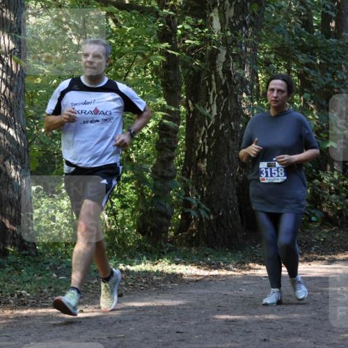 28.09.2025 - 33. Volkslauf durch das schöne Alstertal Strokosch-Dieckow http://msf.ph/oto/8970155 28.09.2025 11:44:07 Laufen 3158, 158 meine-sportfotos.de