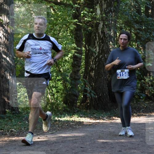 28.09.2025 - 33. Volkslauf durch das schöne Alstertal Strokosch-Dieckow http://msf.ph/oto/8970156 28.09.2025 11:44:07 Laufen 3158, 158 meine-sportfotos.de