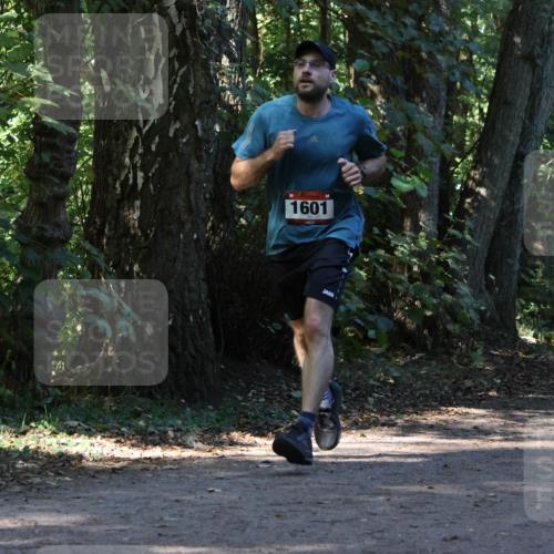 28.09.2025 - 33. Volkslauf durch das schöne Alstertal Strokosch-Dieckow http://msf.ph/oto/8970174 28.09.2025 11:44:17 Laufen 1601 meine-sportfotos.de