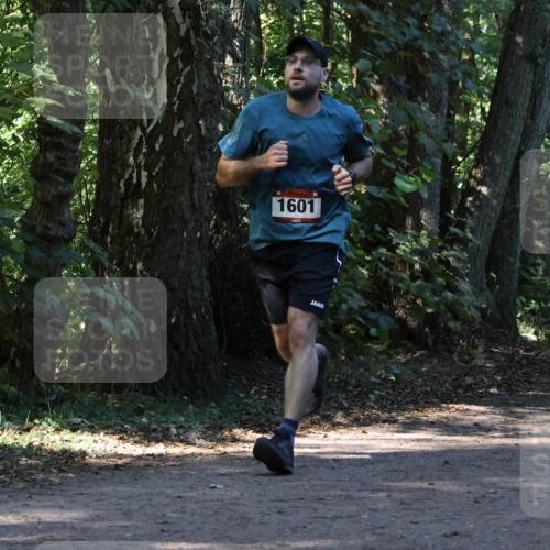 28.09.2025 - 33. Volkslauf durch das schöne Alstertal Strokosch-Dieckow http://msf.ph/oto/8970175 28.09.2025 11:44:17 Laufen 1601 meine-sportfotos.de