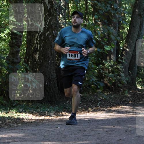 28.09.2025 - 33. Volkslauf durch das schöne Alstertal Strokosch-Dieckow http://msf.ph/oto/8970177 28.09.2025 11:44:17 Laufen 1601 meine-sportfotos.de