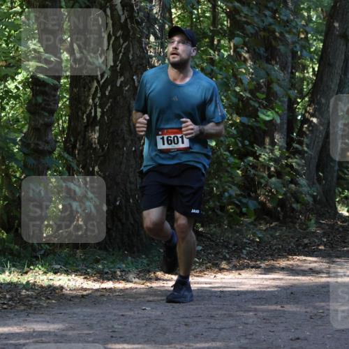 28.09.2025 - 33. Volkslauf durch das schöne Alstertal Strokosch-Dieckow http://msf.ph/oto/8970178 28.09.2025 11:44:17 Laufen 1601 meine-sportfotos.de
