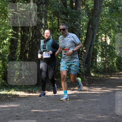 28.09.2025 - 33. Volkslauf durch das schöne Alstertal Strokosch-Dieckow http://msf.ph/oto/8970179 28.09.2025 11:44:34 Laufen 305, 1802 meine-sportfotos.de