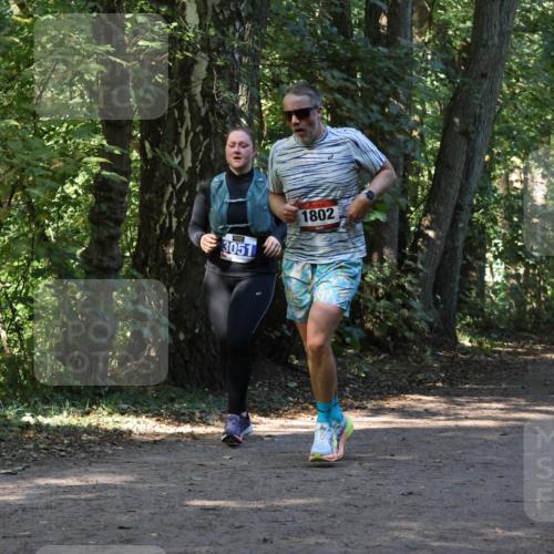 28.09.2025 - 33. Volkslauf durch das schöne Alstertal Strokosch-Dieckow http://msf.ph/oto/8970182 28.09.2025 11:44:34 Laufen 3051, 1802 meine-sportfotos.de