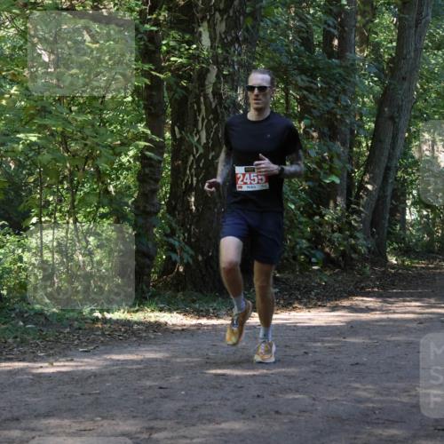 28.09.2025 - 33. Volkslauf durch das schöne Alstertal Strokosch-Dieckow http://msf.ph/oto/8970190 28.09.2025 11:45:05 Laufen 2455 meine-sportfotos.de
