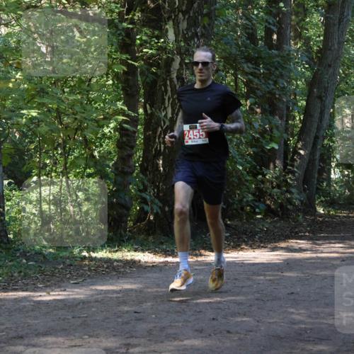 28.09.2025 - 33. Volkslauf durch das schöne Alstertal Strokosch-Dieckow http://msf.ph/oto/8970191 28.09.2025 11:45:05 Laufen 2455 meine-sportfotos.de