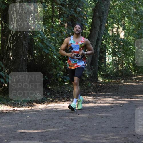 28.09.2025 - 33. Volkslauf durch das schöne Alstertal Strokosch-Dieckow http://msf.ph/oto/8970195 28.09.2025 11:45:16 Laufen 82 meine-sportfotos.de