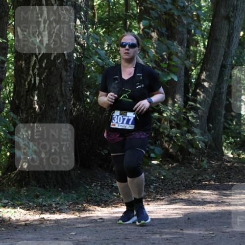 28.09.2025 - 33. Volkslauf durch das schöne Alstertal Strokosch-Dieckow http://msf.ph/oto/8970203 28.09.2025 11:45:27 Laufen 3077 meine-sportfotos.de