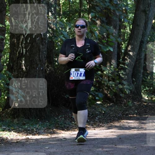 28.09.2025 - 33. Volkslauf durch das schöne Alstertal Strokosch-Dieckow http://msf.ph/oto/8970205 28.09.2025 11:45:27 Laufen 3077 meine-sportfotos.de