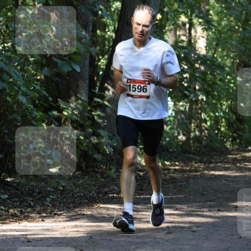 28.09.2025 - 33. Volkslauf durch das schöne Alstertal Strokosch-Dieckow http://msf.ph/oto/8970208 28.09.2025 11:46:06 Laufen 1596 meine-sportfotos.de