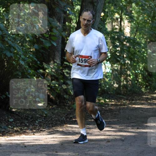 28.09.2025 - 33. Volkslauf durch das schöne Alstertal Strokosch-Dieckow http://msf.ph/oto/8970210 28.09.2025 11:46:07 Laufen 1596 meine-sportfotos.de