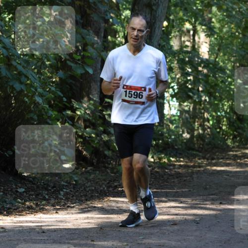 28.09.2025 - 33. Volkslauf durch das schöne Alstertal Strokosch-Dieckow http://msf.ph/oto/8970211 28.09.2025 11:46:07 Laufen 1596 meine-sportfotos.de