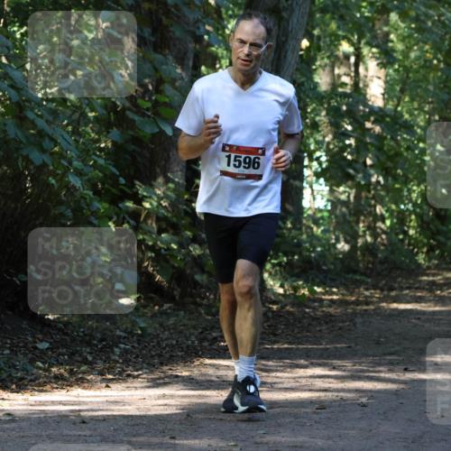 28.09.2025 - 33. Volkslauf durch das schöne Alstertal Strokosch-Dieckow http://msf.ph/oto/8970212 28.09.2025 11:46:07 Laufen 1596, 3060 meine-sportfotos.de