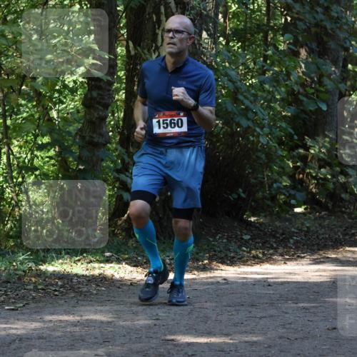 28.09.2025 - 33. Volkslauf durch das schöne Alstertal Strokosch-Dieckow http://msf.ph/oto/8970213 28.09.2025 11:46:17 Laufen 1560, 1559 meine-sportfotos.de
