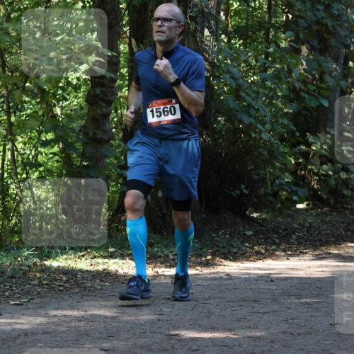 28.09.2025 - 33. Volkslauf durch das schöne Alstertal Strokosch-Dieckow http://msf.ph/oto/8970214 28.09.2025 11:46:17 Laufen 1560, 1559 meine-sportfotos.de