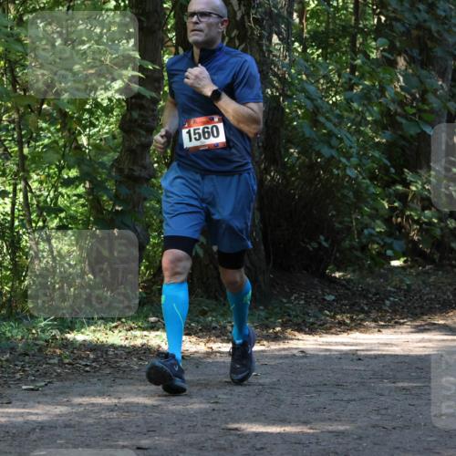 28.09.2025 - 33. Volkslauf durch das schöne Alstertal Strokosch-Dieckow http://msf.ph/oto/8970216 28.09.2025 11:46:17 Laufen 1560, 1559 meine-sportfotos.de