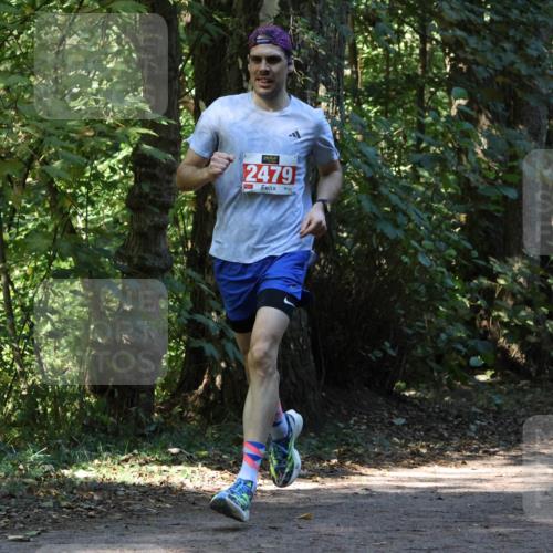 28.09.2025 - 33. Volkslauf durch das schöne Alstertal Strokosch-Dieckow http://msf.ph/oto/8970228 28.09.2025 11:46:38 Laufen 2479 meine-sportfotos.de