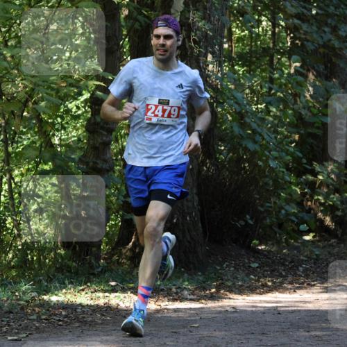 28.09.2025 - 33. Volkslauf durch das schöne Alstertal Strokosch-Dieckow http://msf.ph/oto/8970229 28.09.2025 11:46:38 Laufen 2479 meine-sportfotos.de
