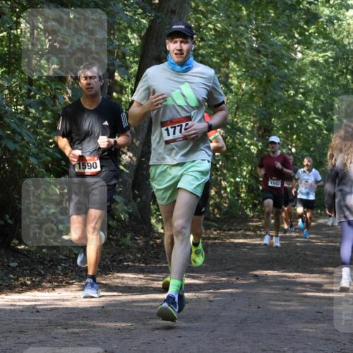 28.09.2025 - 33. Volkslauf durch das schöne Alstertal Strokosch-Dieckow http://msf.ph/oto/8970230 28.09.2025 11:46:40 Laufen 1590, 177, 1592 meine-sportfotos.de