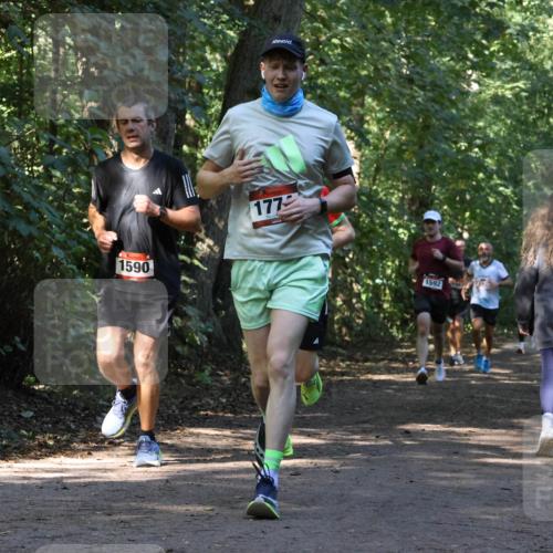 28.09.2025 - 33. Volkslauf durch das schöne Alstertal Strokosch-Dieckow http://msf.ph/oto/8970231 28.09.2025 11:46:40 Laufen 1590, 177, 1592 meine-sportfotos.de