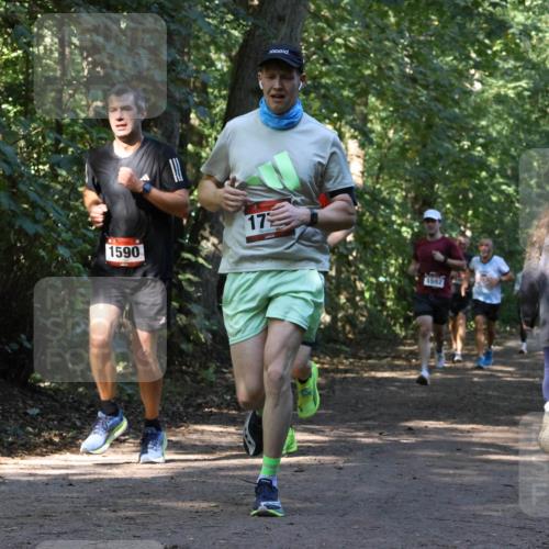 28.09.2025 - 33. Volkslauf durch das schöne Alstertal Strokosch-Dieckow http://msf.ph/oto/8970232 28.09.2025 11:46:40 Laufen 1590, 17, 1592 meine-sportfotos.de