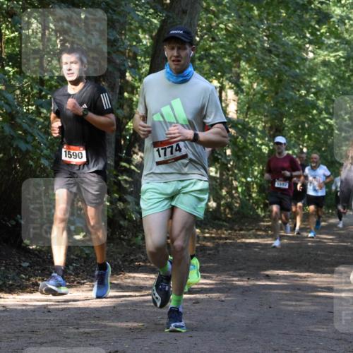 28.09.2025 - 33. Volkslauf durch das schöne Alstertal Strokosch-Dieckow http://msf.ph/oto/8970233 28.09.2025 11:46:40 Laufen 1590, 1774, 1592 meine-sportfotos.de