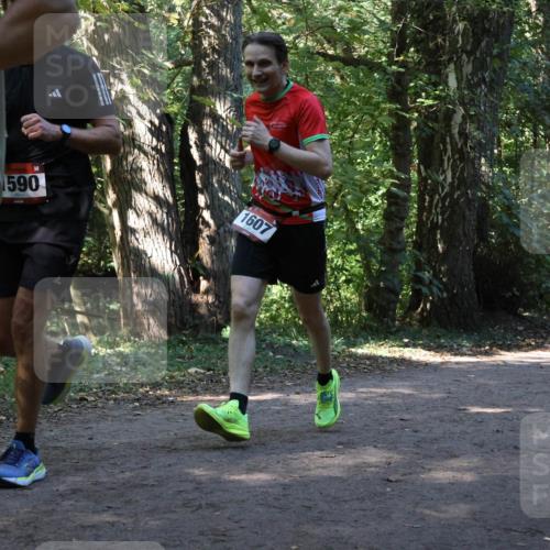 28.09.2025 - 33. Volkslauf durch das schöne Alstertal Strokosch-Dieckow http://msf.ph/oto/8970234 28.09.2025 11:46:43 Laufen 1590, 1607 meine-sportfotos.de