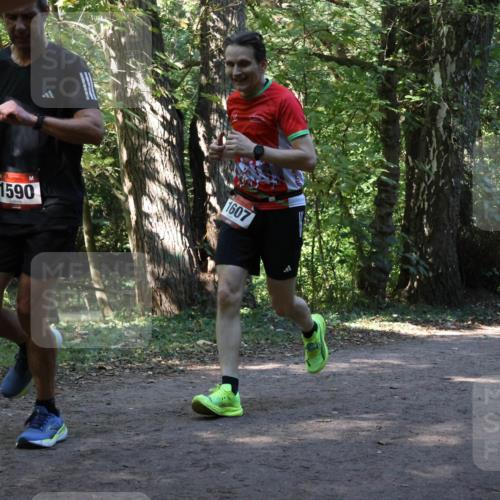 28.09.2025 - 33. Volkslauf durch das schöne Alstertal Strokosch-Dieckow http://msf.ph/oto/8970236 28.09.2025 11:46:43 Laufen 1607, 1590 meine-sportfotos.de