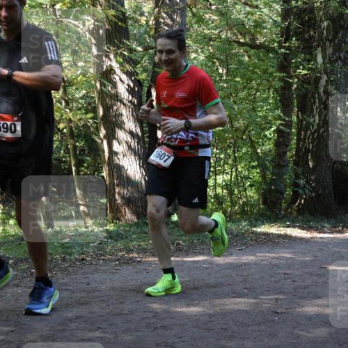 28.09.2025 - 33. Volkslauf durch das schöne Alstertal Strokosch-Dieckow http://msf.ph/oto/8970237 28.09.2025 11:46:43 Laufen 1590, 1607 meine-sportfotos.de