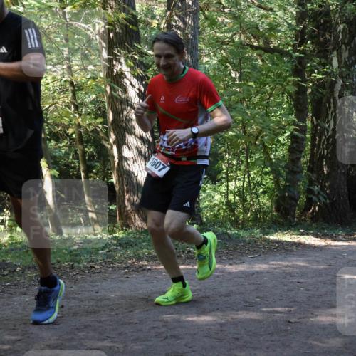 28.09.2025 - 33. Volkslauf durch das schöne Alstertal Strokosch-Dieckow http://msf.ph/oto/8970238 28.09.2025 11:46:43 Laufen 1590, 1607 meine-sportfotos.de
