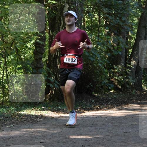 28.09.2025 - 33. Volkslauf durch das schöne Alstertal Strokosch-Dieckow http://msf.ph/oto/8970240 28.09.2025 11:46:45 Laufen 1592, 2229 meine-sportfotos.de