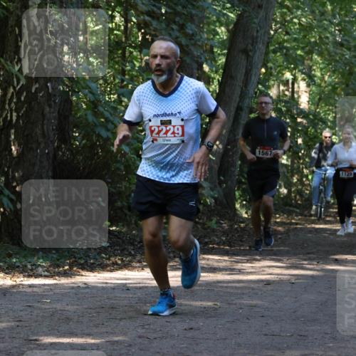 28.09.2025 - 33. Volkslauf durch das schöne Alstertal Strokosch-Dieckow http://msf.ph/oto/8970242 28.09.2025 11:46:47 Laufen 2229, 1567, 1606, 1123 meine-sportfotos.de