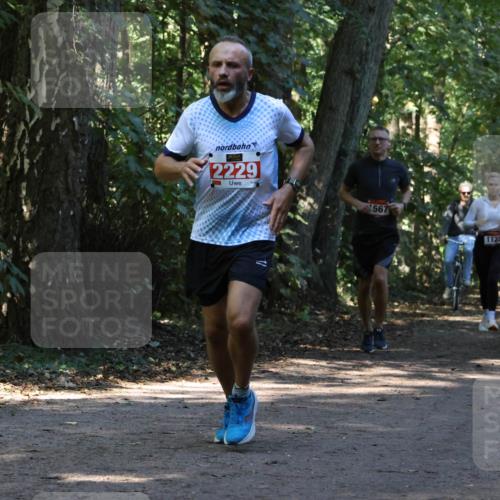 28.09.2025 - 33. Volkslauf durch das schöne Alstertal Strokosch-Dieckow http://msf.ph/oto/8970243 28.09.2025 11:46:47 Laufen 2229, 567, 1606, 1123 meine-sportfotos.de