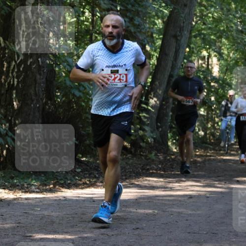 28.09.2025 - 33. Volkslauf durch das schöne Alstertal Strokosch-Dieckow http://msf.ph/oto/8970244 28.09.2025 11:46:47 Laufen 229, 567, 1123 meine-sportfotos.de