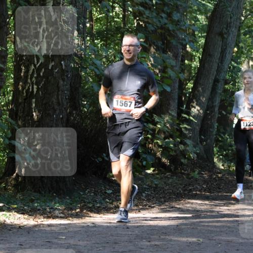 28.09.2025 - 33. Volkslauf durch das schöne Alstertal Strokosch-Dieckow http://msf.ph/oto/8970246 28.09.2025 11:46:50 Laufen 1567, 1123, 1606 meine-sportfotos.de