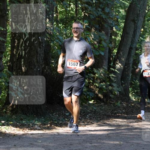 28.09.2025 - 33. Volkslauf durch das schöne Alstertal Strokosch-Dieckow http://msf.ph/oto/8970247 28.09.2025 11:46:50 Laufen 1567, 1123, 1606 meine-sportfotos.de