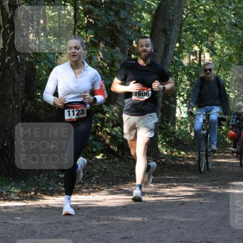 28.09.2025 - 33. Volkslauf durch das schöne Alstertal Strokosch-Dieckow http://msf.ph/oto/8970249 28.09.2025 11:46:51 Laufen 1123, 1606, 1588 meine-sportfotos.de