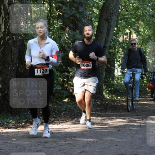 28.09.2025 - 33. Volkslauf durch das schöne Alstertal Strokosch-Dieckow http://msf.ph/oto/8970251 28.09.2025 11:46:52 Laufen 1123, 1606, 1588 meine-sportfotos.de