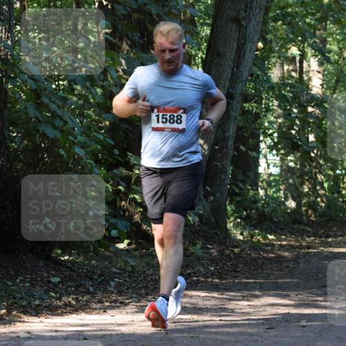 28.09.2025 - 33. Volkslauf durch das schöne Alstertal Strokosch-Dieckow http://msf.ph/oto/8970252 28.09.2025 11:46:59 Laufen 1588 meine-sportfotos.de