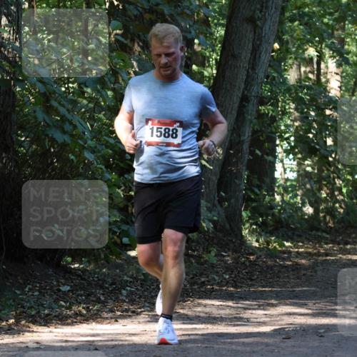 28.09.2025 - 33. Volkslauf durch das schöne Alstertal Strokosch-Dieckow http://msf.ph/oto/8970254 28.09.2025 11:46:59 Laufen 1588 meine-sportfotos.de