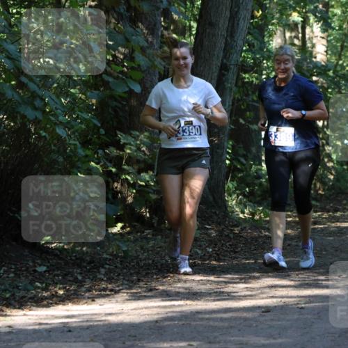 28.09.2025 - 33. Volkslauf durch das schöne Alstertal Strokosch-Dieckow http://msf.ph/oto/8970255 28.09.2025 11:47:15 Laufen 3390, 3389, 2241, 00 meine-sportfotos.de