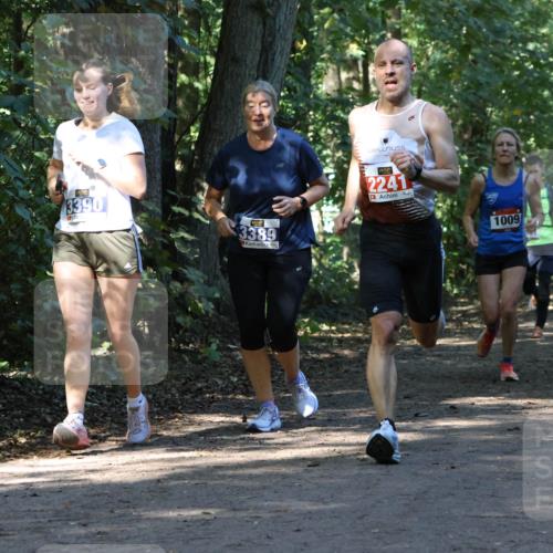 28.09.2025 - 33. Volkslauf durch das schöne Alstertal Strokosch-Dieckow http://msf.ph/oto/8970258 28.09.2025 11:47:16 Laufen 3390, 3389, 2241, 1009 meine-sportfotos.de
